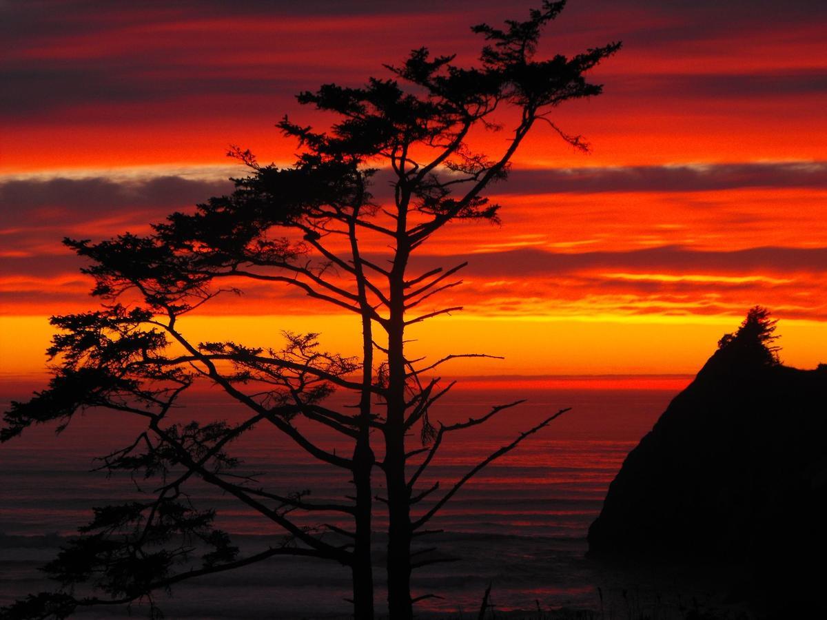 Agate Beach Motel Newport Buitenkant foto